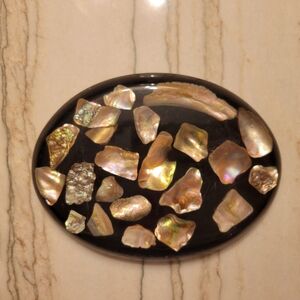 1960's lucite abalone shell trivet hotplate souvenir from Fort Meyers